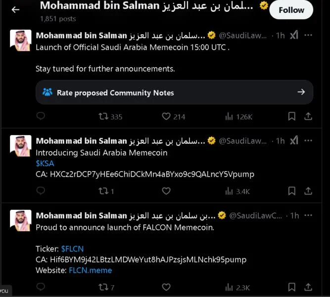 Saudi crown prince impersonators launch fake Saudi Arabia memecoin