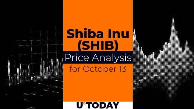 SHIB Price Prediction for October 13