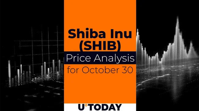 SHIB Price Prediction for October 30