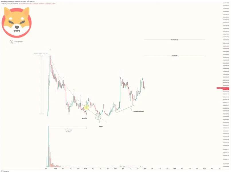 Shiba Inu 260% Rally: Analyst Sees Classic Bullish Patterns Emerging