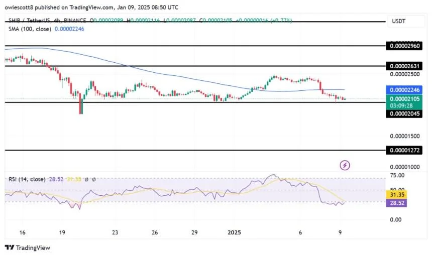 Shiba Inu Grapples With Heavy Bearish Forces: Will Support Levels Hold?