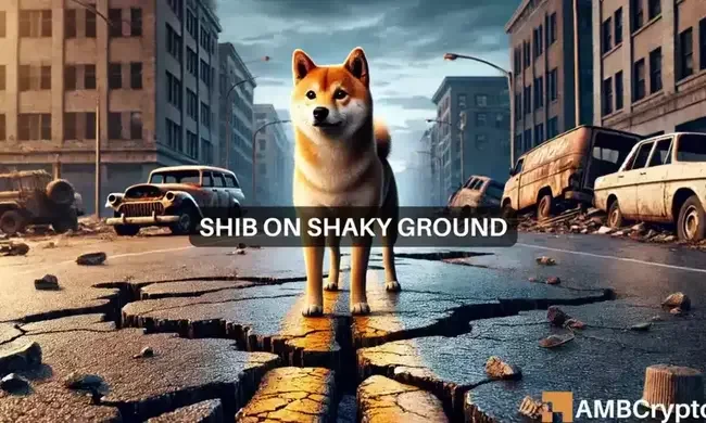 Shiba Inu: How derivative traders could fuel SHIB losses 