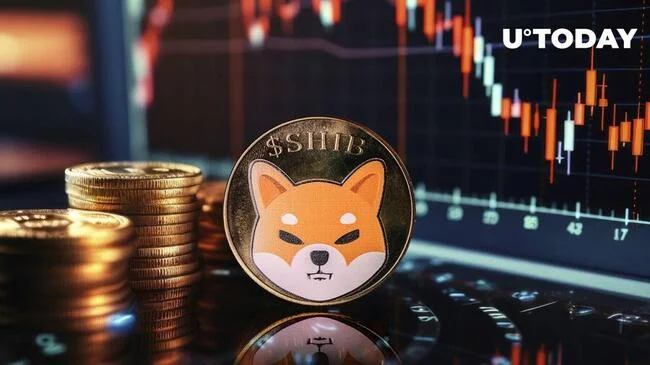 Shiba Inu Next Massive Support Unveiled as SHIB Price Dips 9%