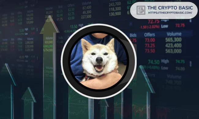 Shiba Inu Rival Spikes Over 600% After Binance Listing 