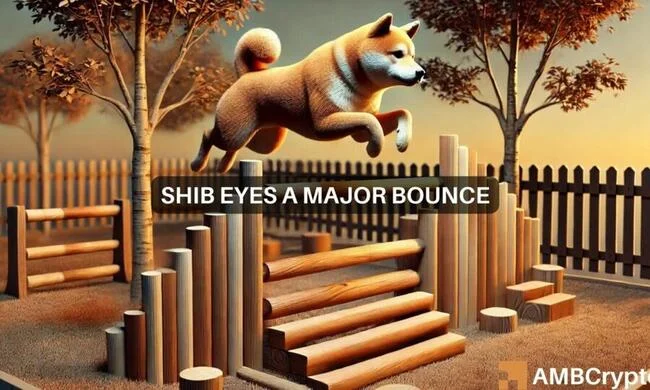 Shiba Inu set for a 2x rally? Market interest signals bullish breakout