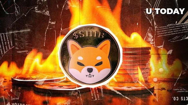 Shiba Inu (SHIB) Burn Rate Shoots 33,818%, What's Going On?