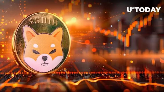 Shiba Inu (SHIB) Skyrockets 8,596% in Major Metric - Here’s Why