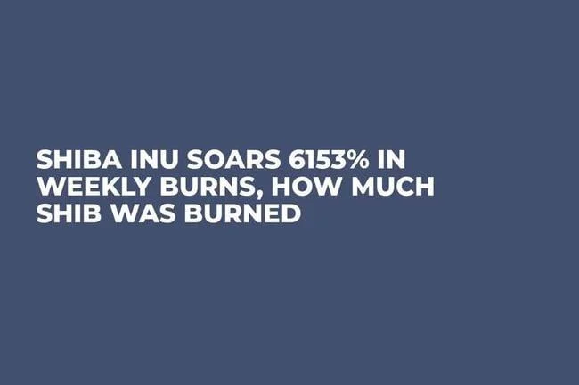 Shiba Inu Soars 6153% in Weekly Burns, How Much SHIB Was Burned