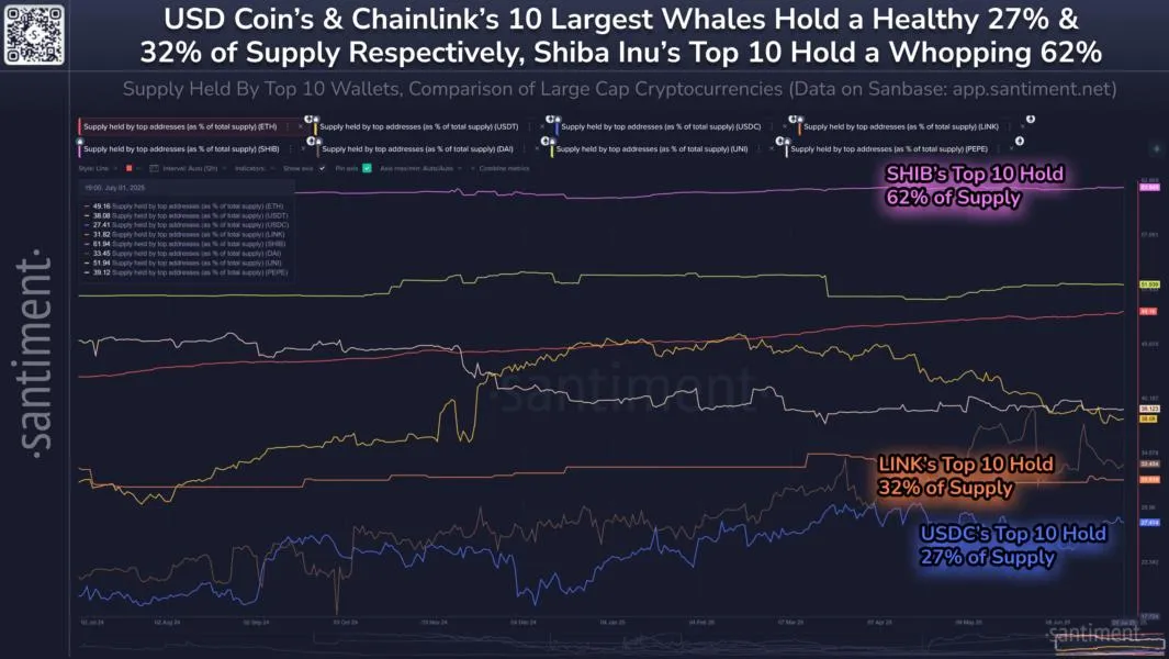 Shiba Inu Supply Most Centralized Among Top Coins—62% Held By Just 10 Whales