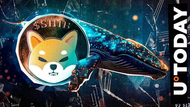 Shiba Inu Whales Betray SHIB Despite 1.62 Trillion Transfers: What’s Going On?