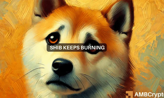 Shiba Inu’s burn rate surges by 254,000% – Good news for SHIB?