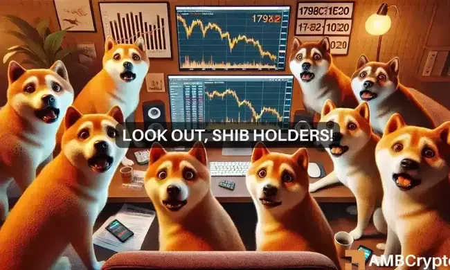 Shiba Inu’s price volatility – SHIB can hit these levels IF…