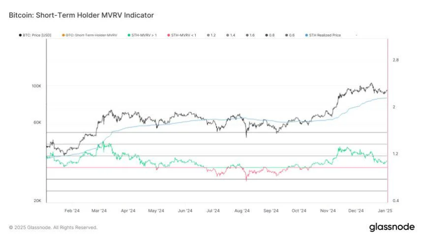 Short-Term Bitcoin Holders See 10% Profit – Potential Impact On Price?