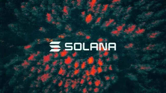 Solana climbs above $200, bitcoin hits new high amid extended post-election rally