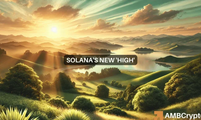 Solana – Examining what to expect from its new ATH in Open Interest