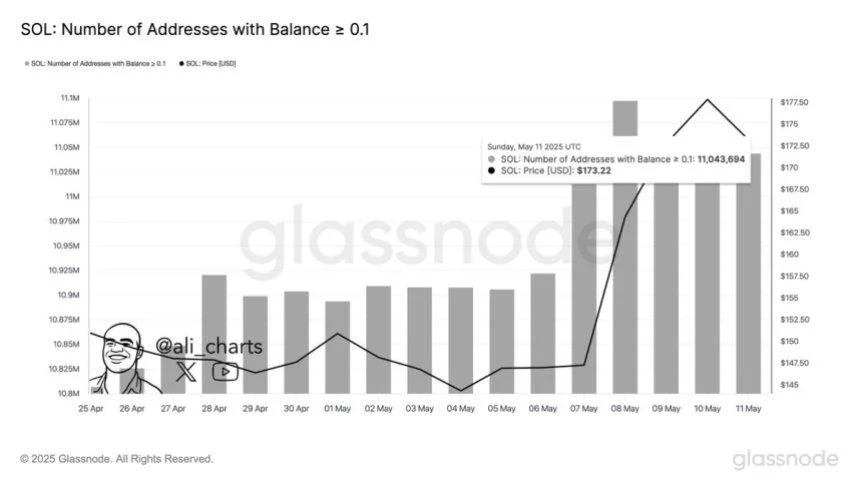 Solana Network Activity Grows As 11M Wallets Now Hold 0.1 SOL Or More – Analyst
