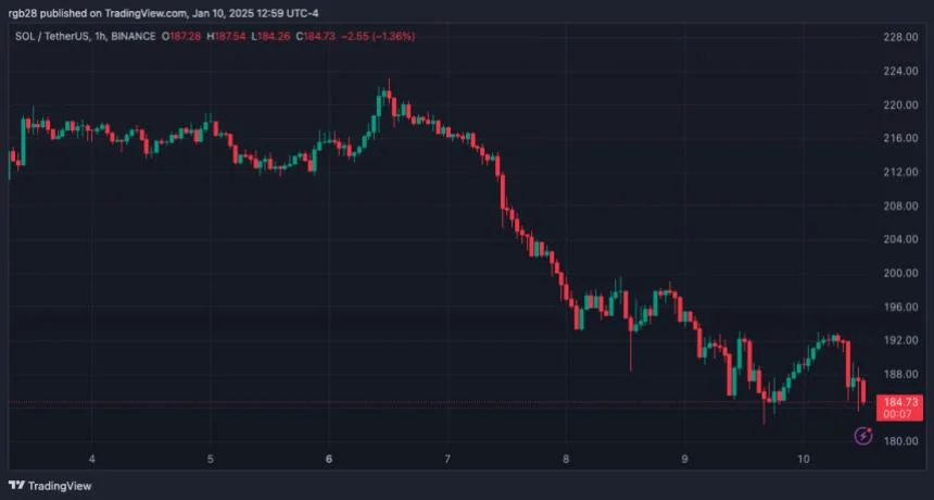 Solana Retest Key Support Level: Is $130 Or $200 Next?