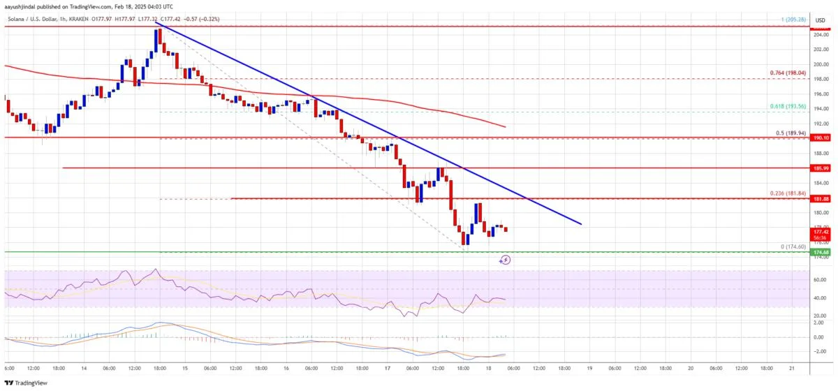 Solana (SOL) Dips Into the Red – Healthy Correction or Trend Reversal?