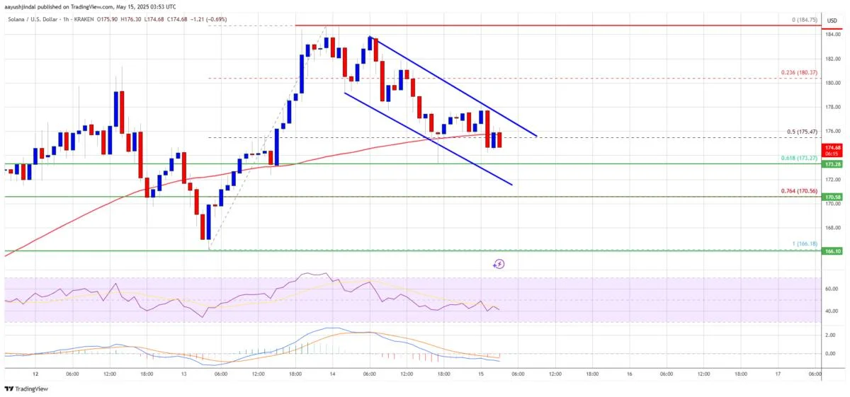 Solana (SOL) Finds Support — Rally May Be Ready to Resume