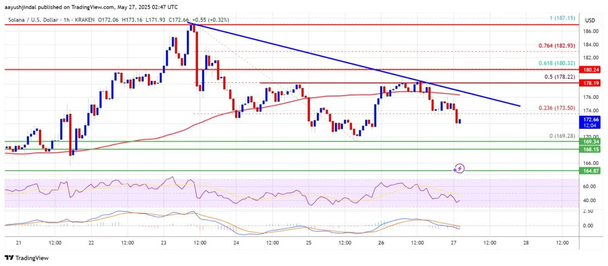 Solana (SOL) Flashes Bearish Signs — Are Further Losses Ahead?