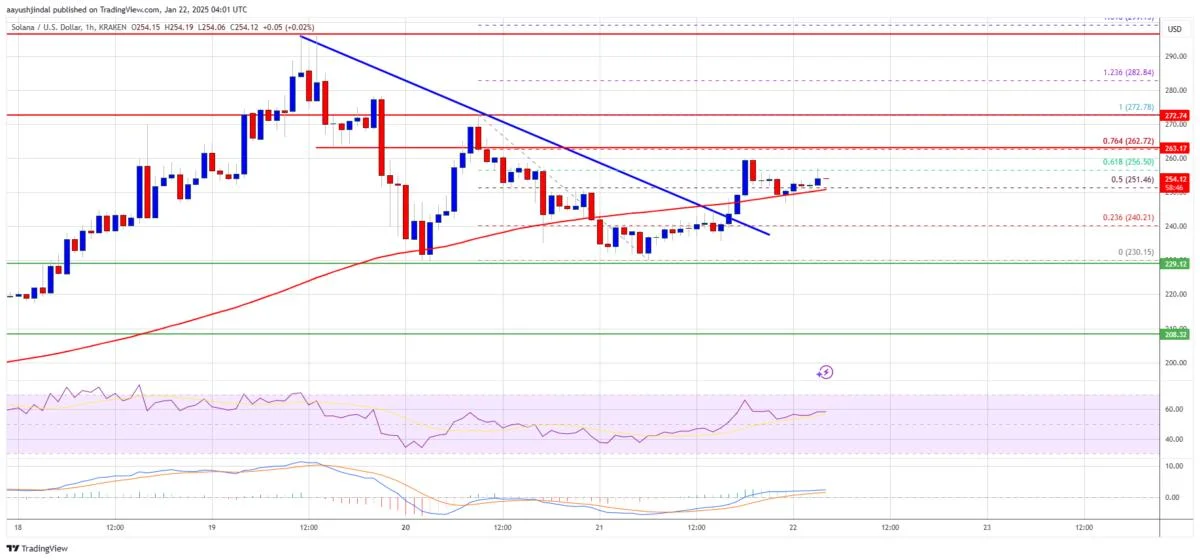 Solana (SOL) Ignites New Momentum: Bulls Target Higher Ground