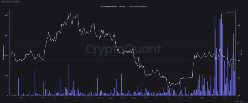 Strong Ethereum Accumulation Detected: LTH Buying Heavy During June Consolidation
