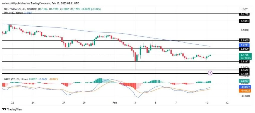 SUI Defies The Odds: Another Comeback From $2.8 Sparks Bullish Run