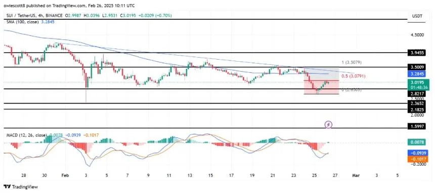 SUI Uptick Sparks Hope, But Is This Fleeting Recovery?