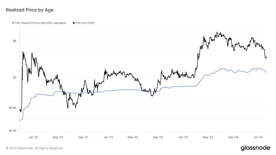 Toncoin (TON) Investors Sitting On 54% Profit Despite Price Plunge