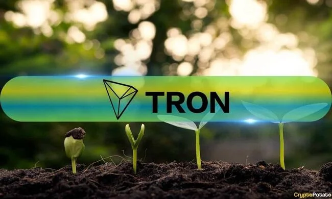 Tron (TRX) Long-Term Holder Addresses Have Spiked 237% in the Past Year: ITB