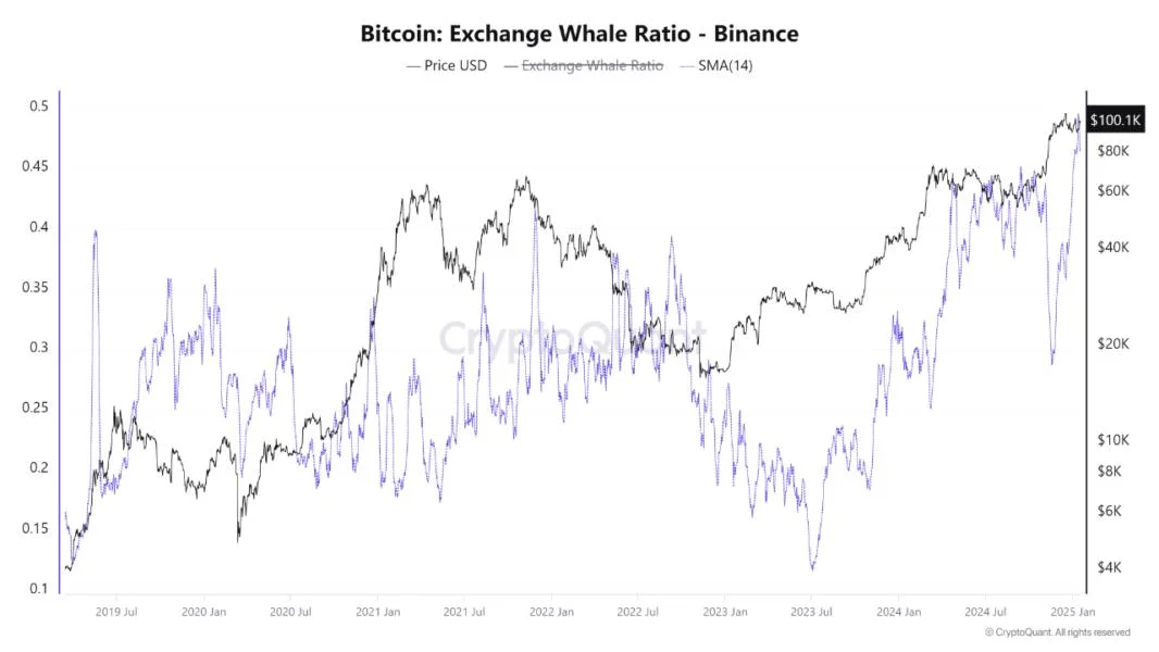 Whale Activity Spikes as Bitcoin Reclaims $102,000—What Investors Need To Know