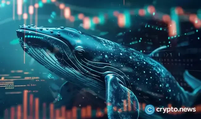 Whale buys 2,000 Bitcoin in 4 days, now holds $490m in BTC