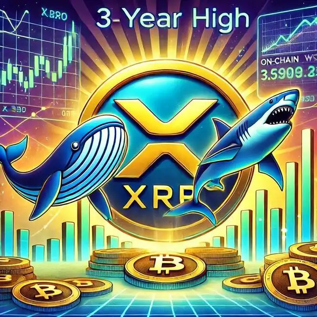 Whales And Sharks Push XRP Price To New 3-Year High, On-Chain Data Shows