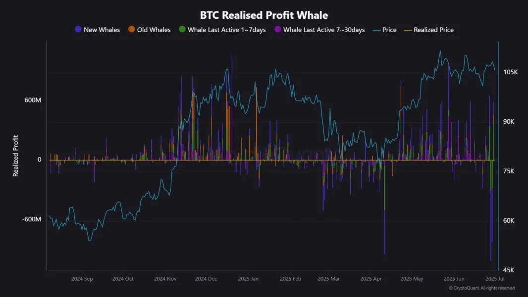 Whales Are Quietly Repositioning, Here’s What Bitcoin’s $107K Price Isn’t Telling You