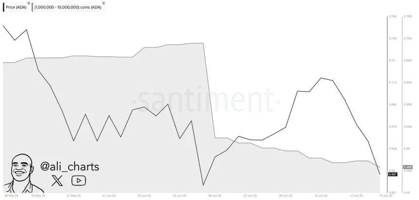 Whales Dump Over 270 Million Cardano In One Week – Bearish Signal Or Shakeout?
