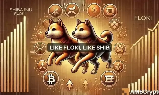 What FLOKI’s correlation with Shiba Inu means for its price