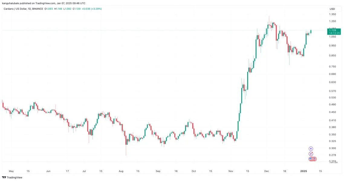 Why is Cardano (ADA) price up today?