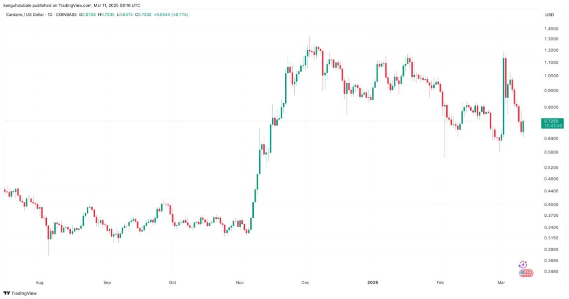  Why is Cardano price down today? 