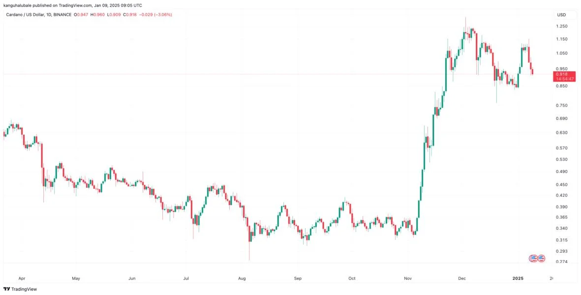 Why is Cardano price down today?