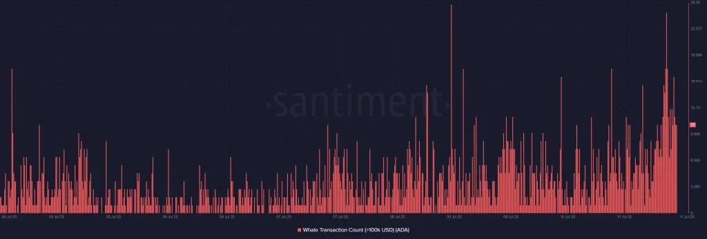 Why is Cardano Price Up Today?