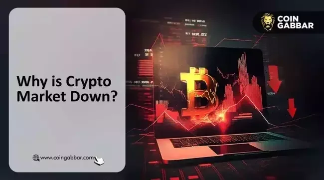 Why is Crypto Down Today: Reasons Behind Crypto Crash