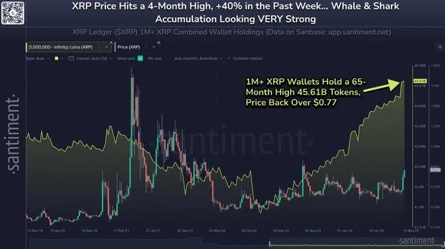Why Is XRP Price Up Today? Key Reasons Explained
