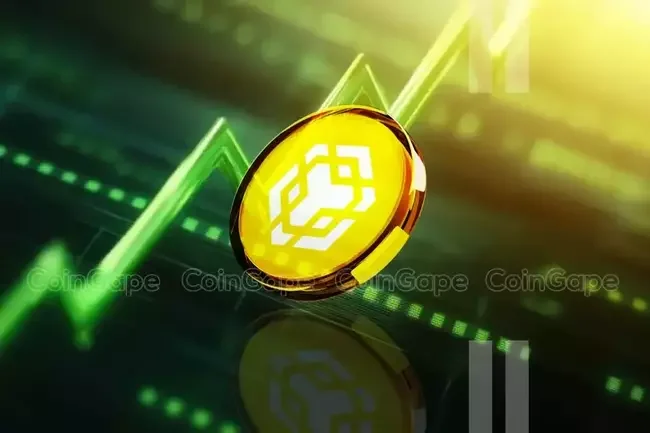 Will Binance Founder ‘CZ’s Post-Release Plans Fuel a BNB Price Rally to $700?