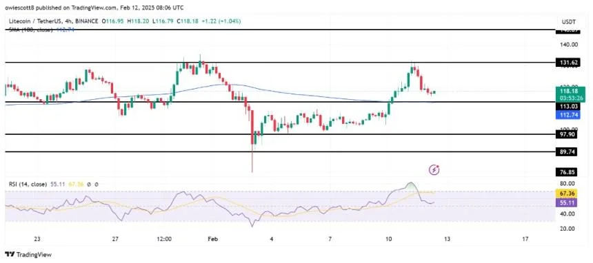 Will Litecoin Bounce Back? $113 Becomes Key After Recent Rejection