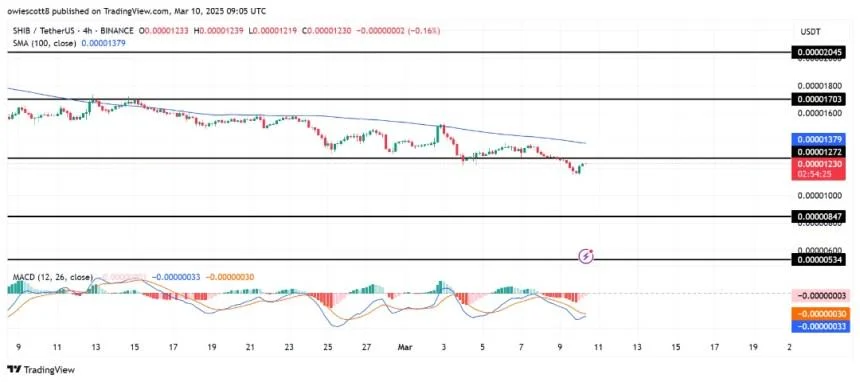 Will Shiba Inu Reclaim $0.000012? SHIB Eyes Retest After Key Support Breakdown