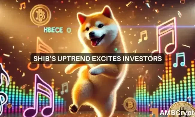 Will Shiba Inu surge 480% to $0.000081? Why analysts are confident