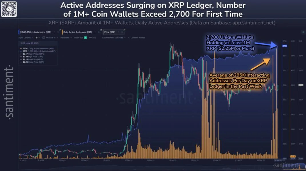 XRP Bullish Signal: Shark & Whale Wallets Set New All-Time High