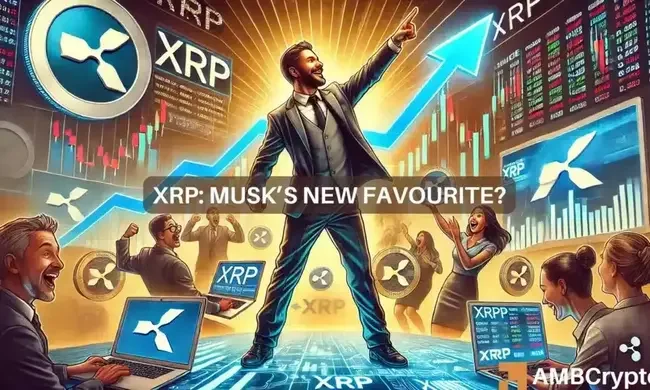 XRP Ledger activity surges amidst Musk’s ‘individual freedom’ comments