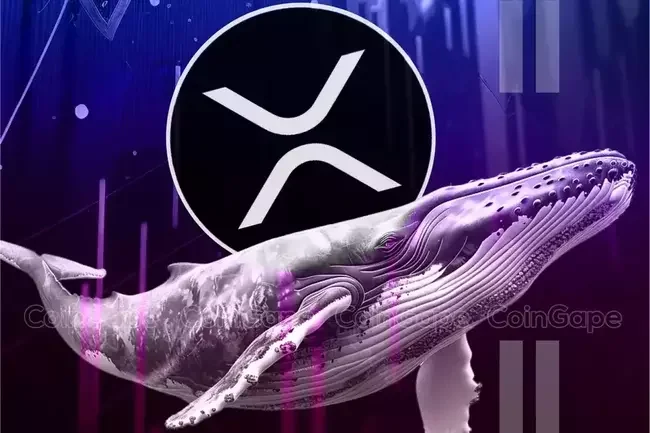 XRP News: Ripple Whales’ Massive Buying Indicates Breakout Ahead