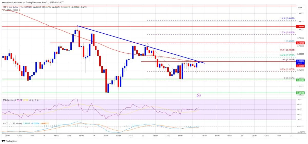 XRP Price Coils for a Breakout — Is The Next Leg Up Imminent?